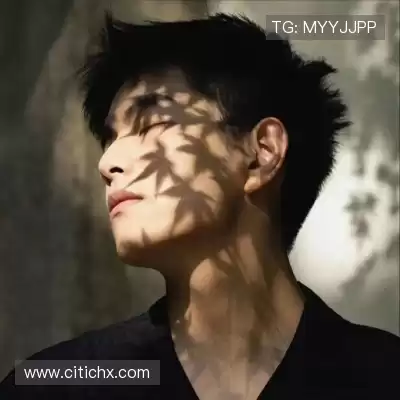 费朗标